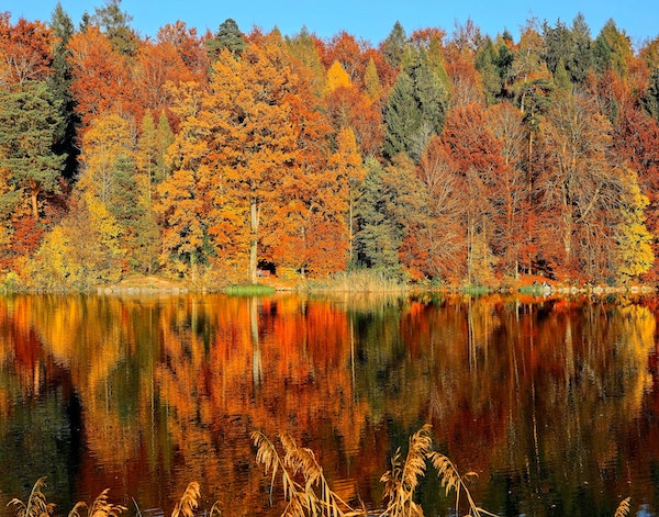 An Autumn Landscape
